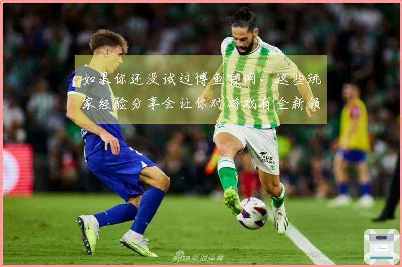 如果你还没试过博鱼官网，这些玩家经验分享会让你对游戏有全新领悟！