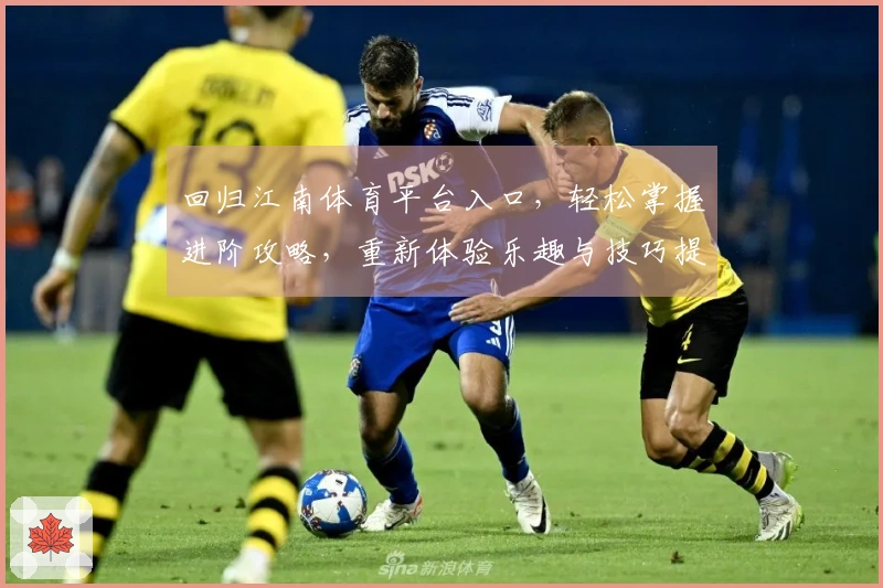 回归江南体育平台入口，轻松掌握进阶攻略，重新体验乐趣与技巧提升