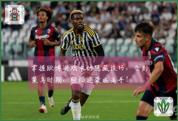 掌握欧博游戏中的隐藏技巧，告别菜鸟时期，轻松逆袭成高手！